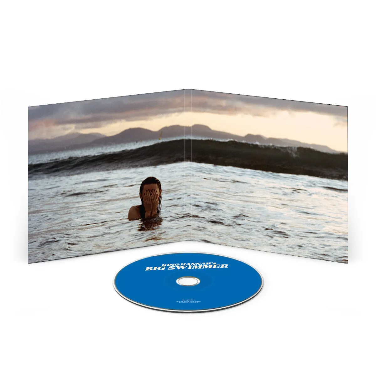 Big Swimmer [CD]