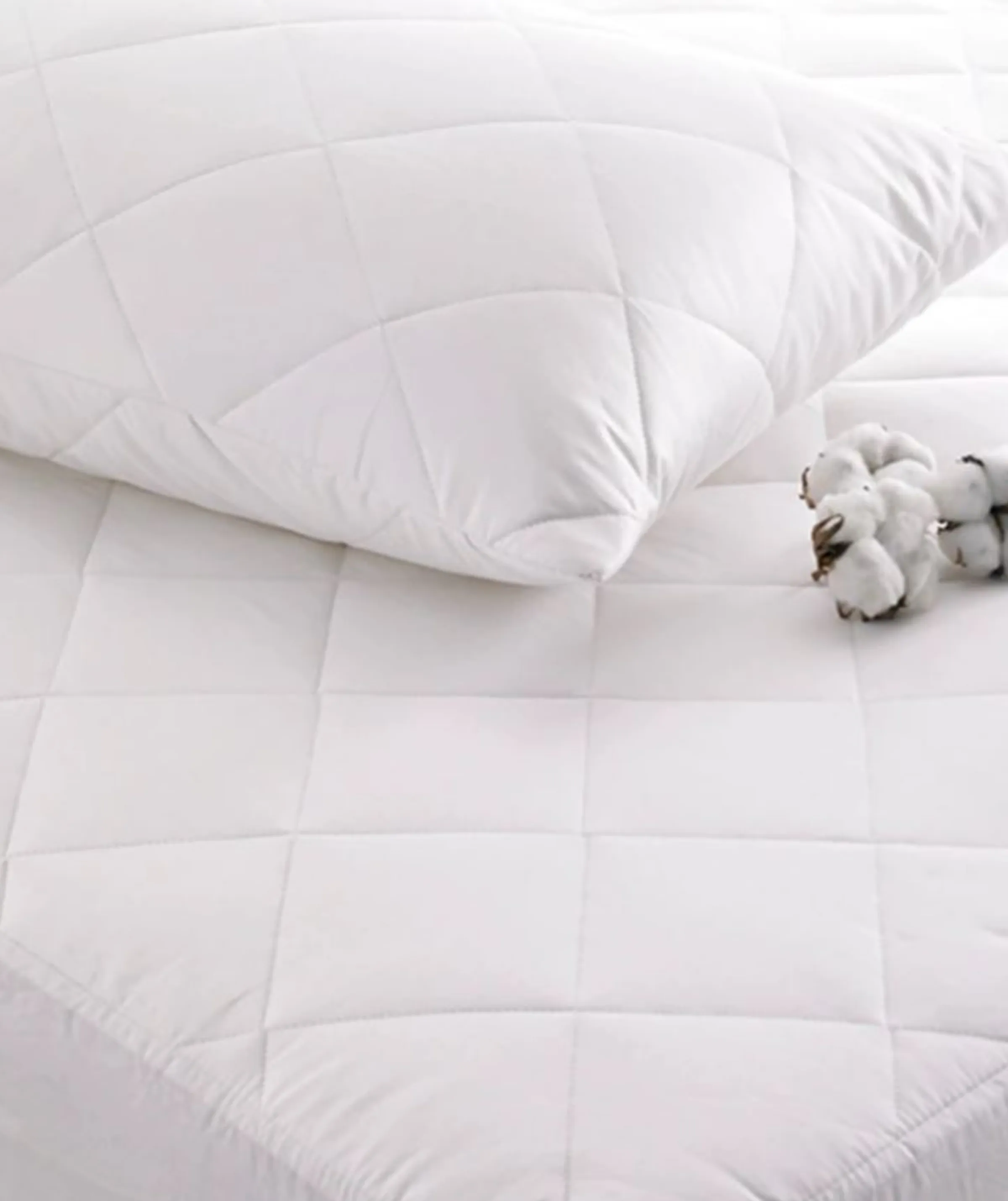 Mattress Protector