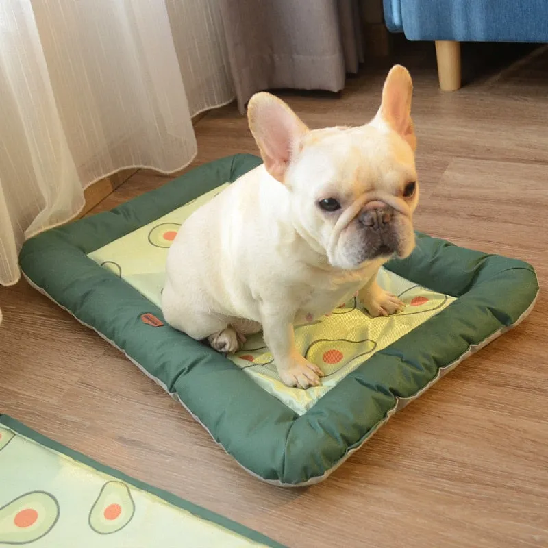 Premium Cooling Mat & Bed