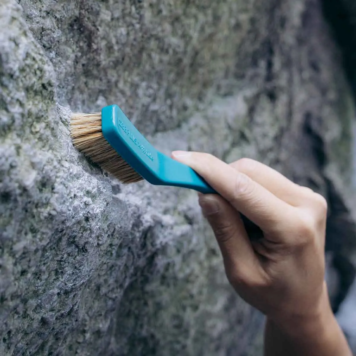 SAVE THE OCEAN - Climbing Brush