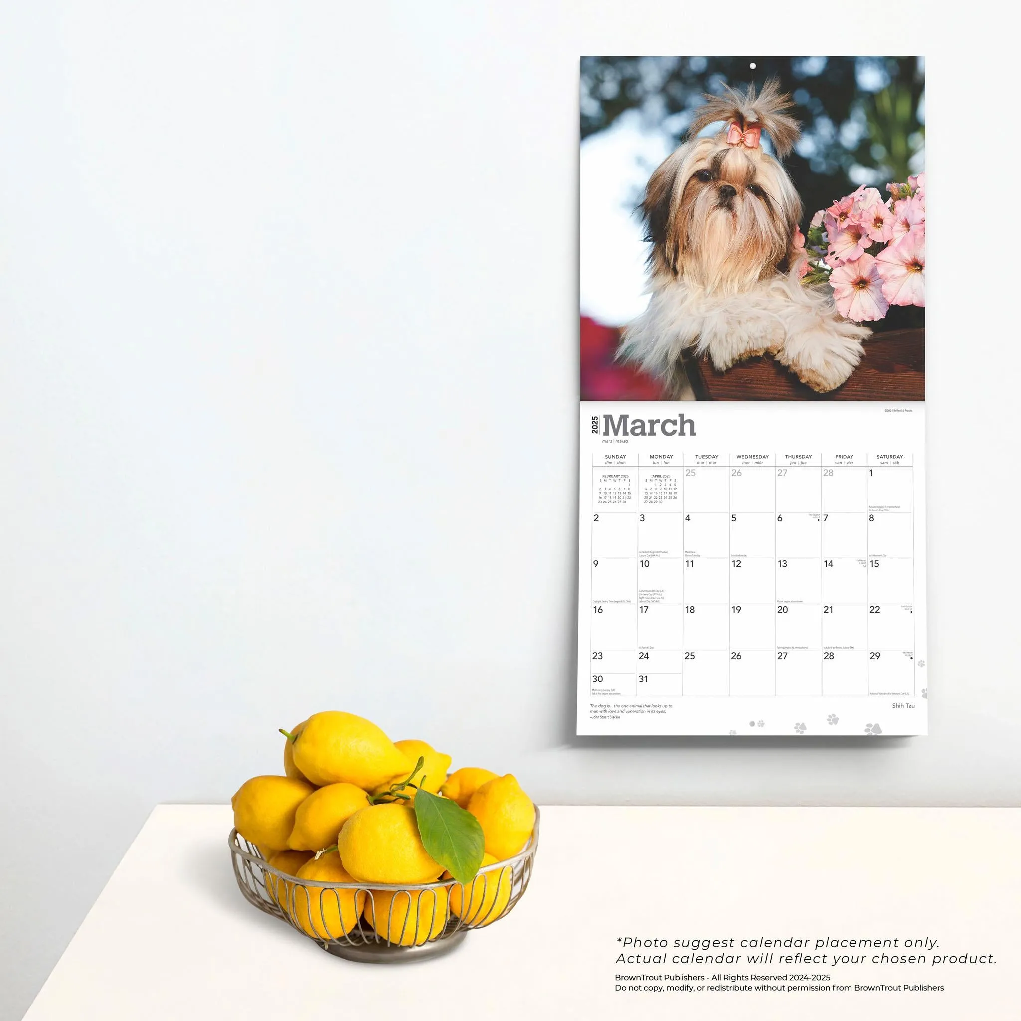 Shih Tzu Wall 2025 Calendar