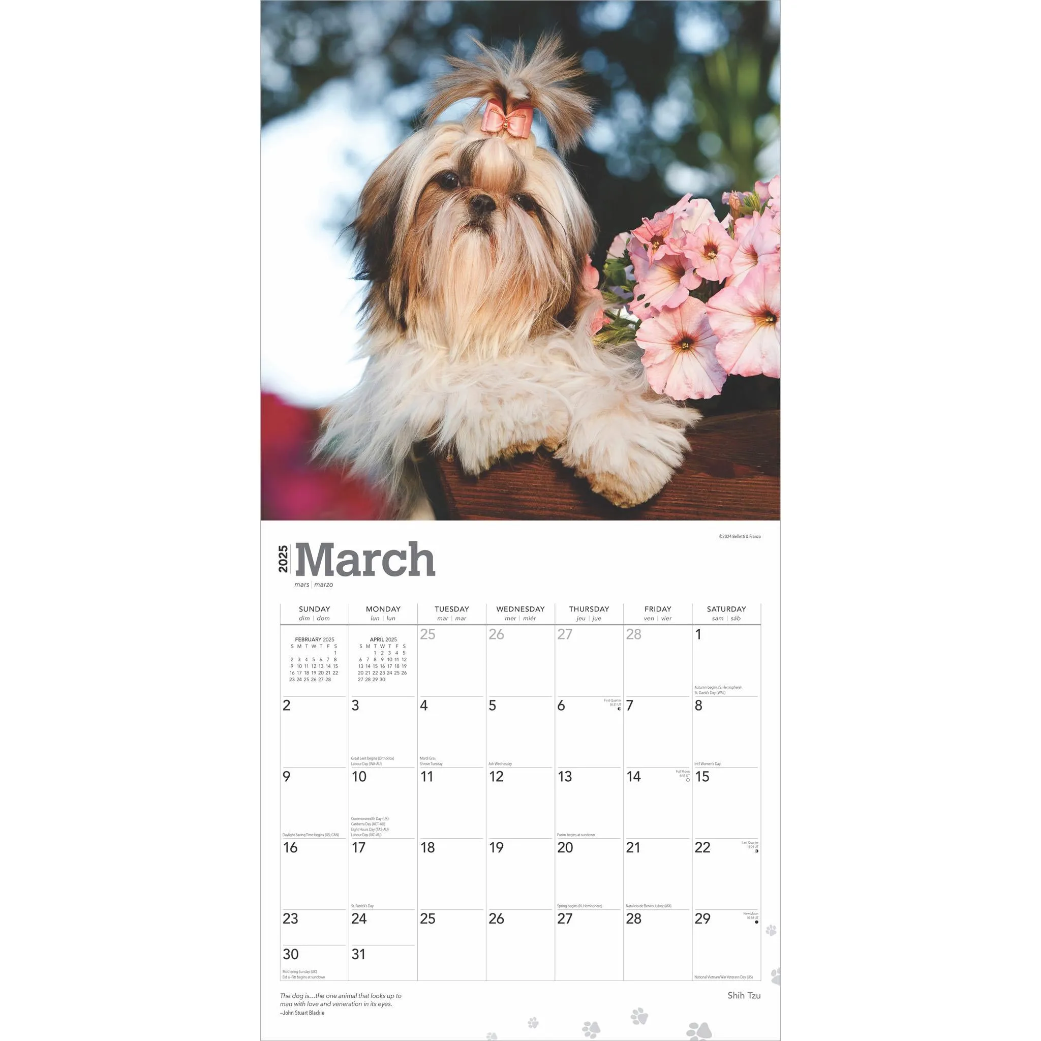 Shih Tzu Wall 2025 Calendar