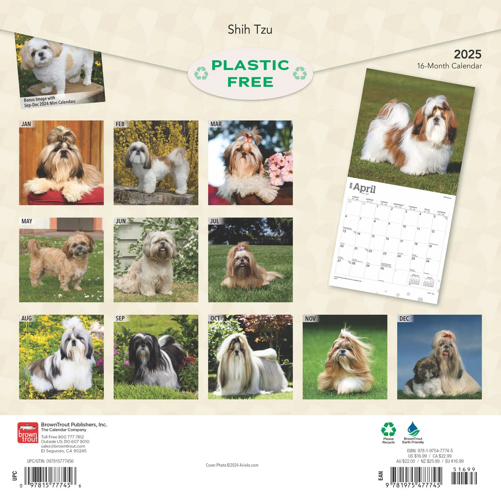 Shih Tzu Wall 2025 Calendar