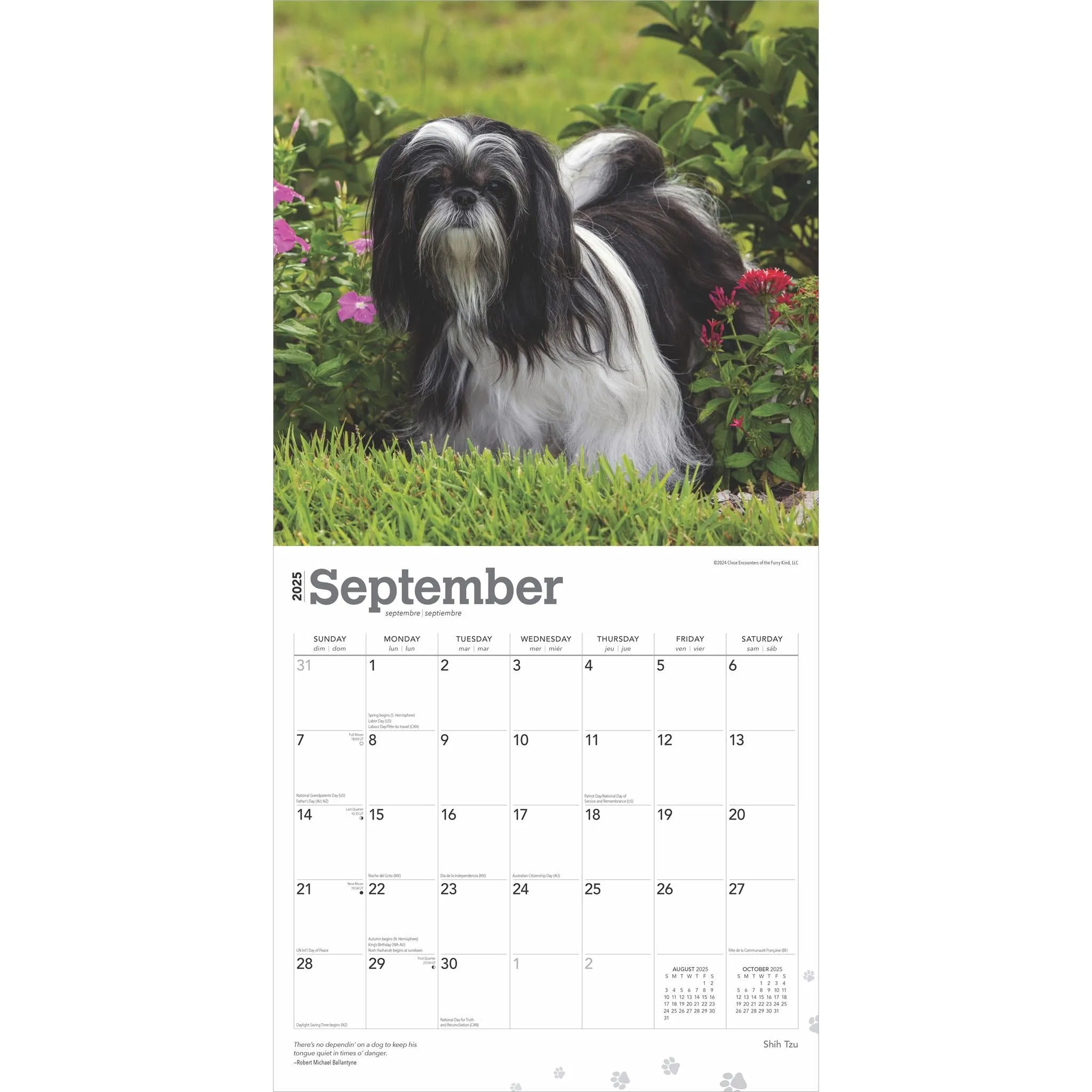 Shih Tzu Wall 2025 Calendar