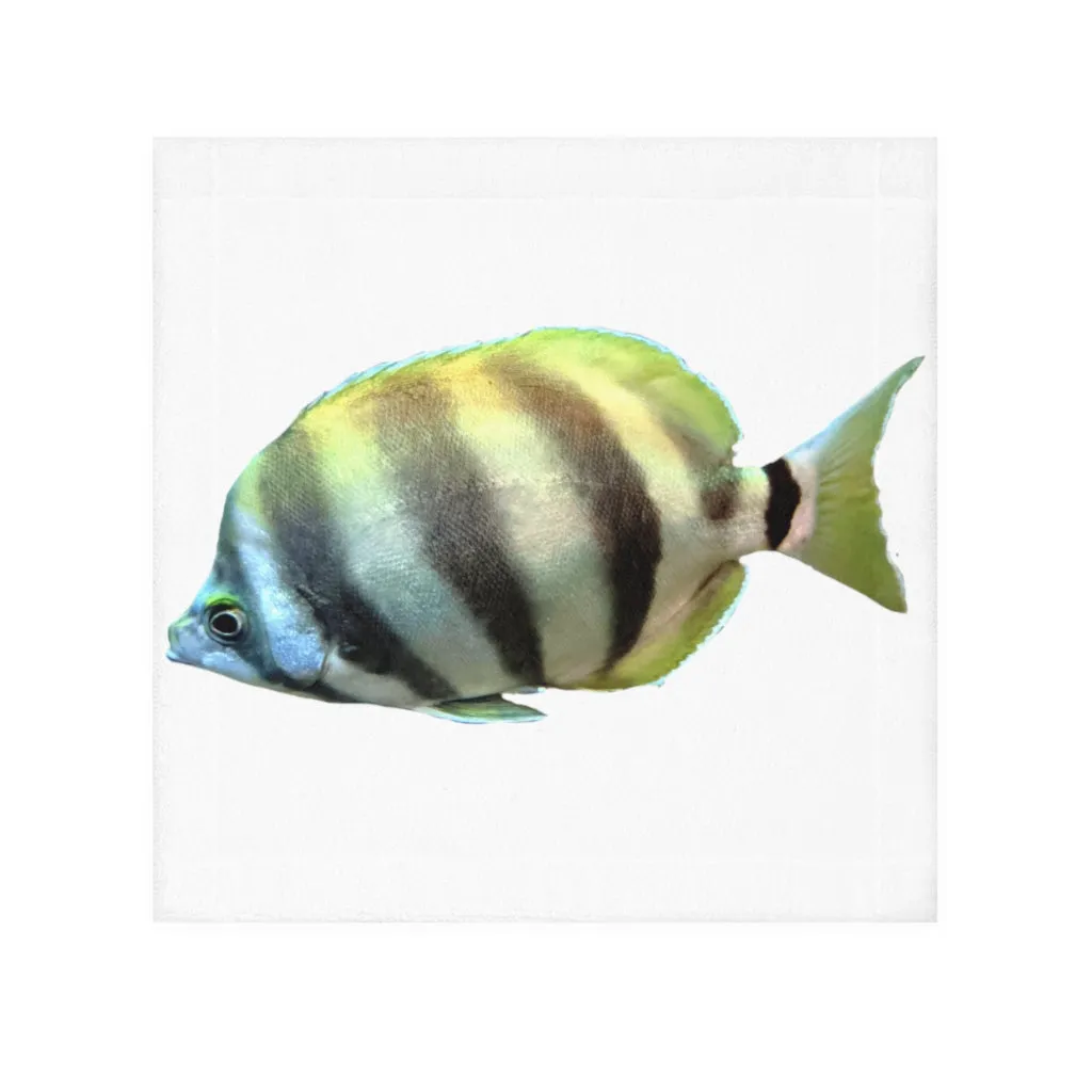 White and Striped Fish Face Towel